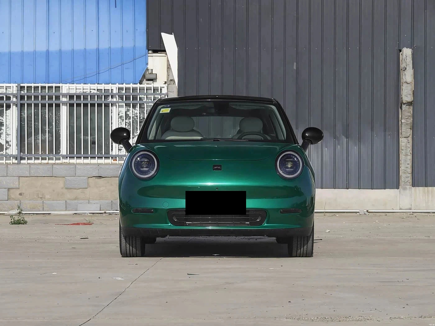 Electric Vehicle