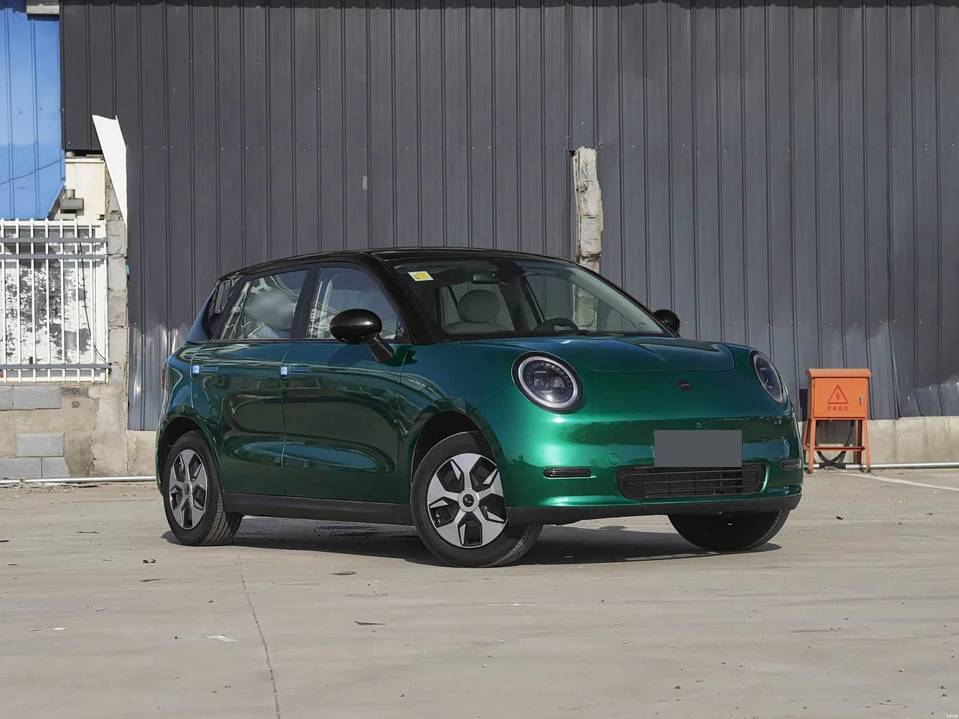 Electric Vehicle