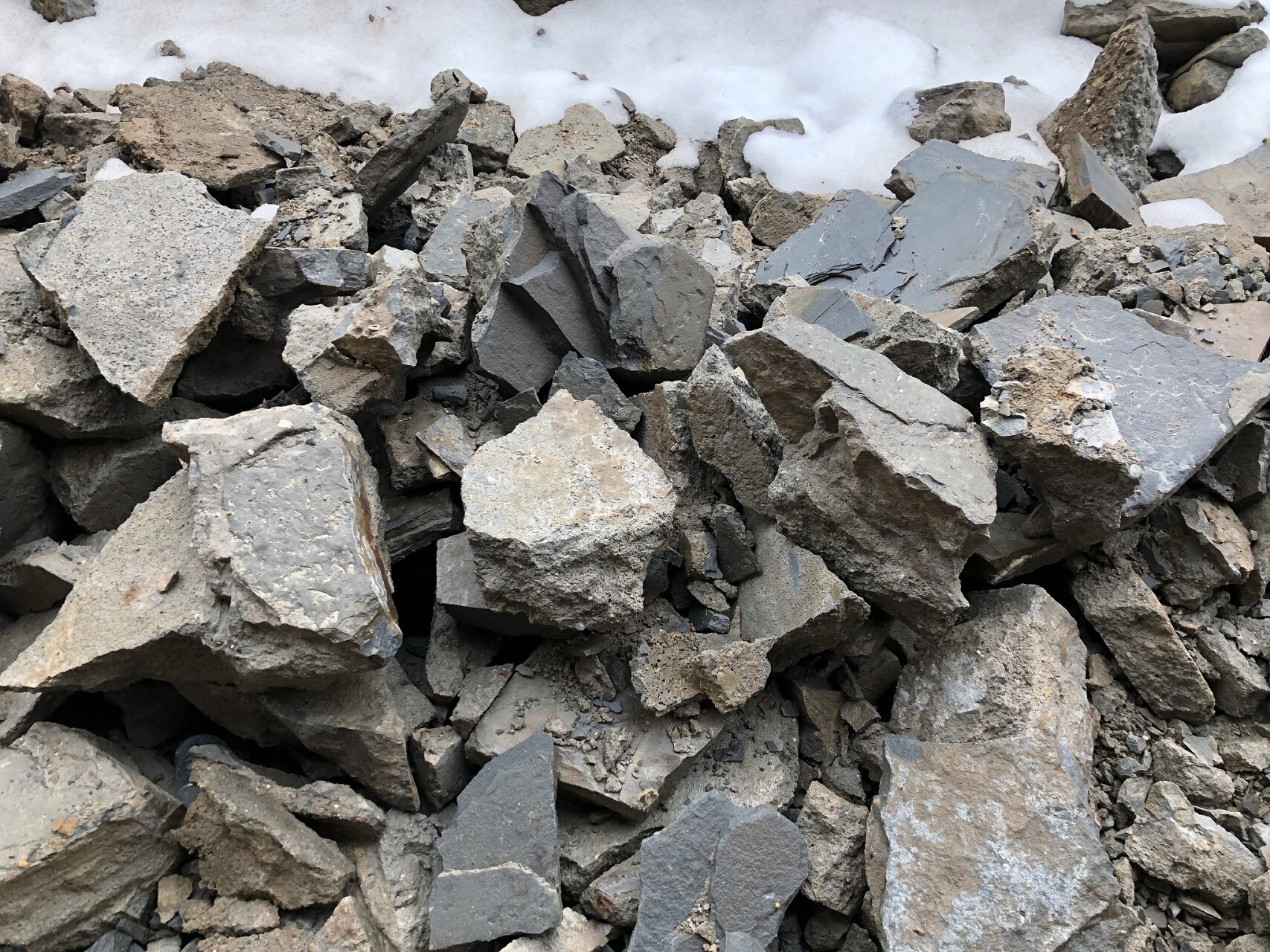 During October, the spot price of ferrosilicon first fell and then rose