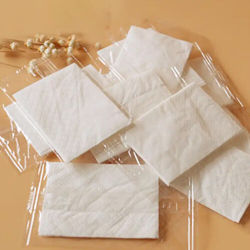 NAPKIN FOR DINNER RESTAURANT