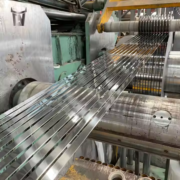 Stainless Steel Strips