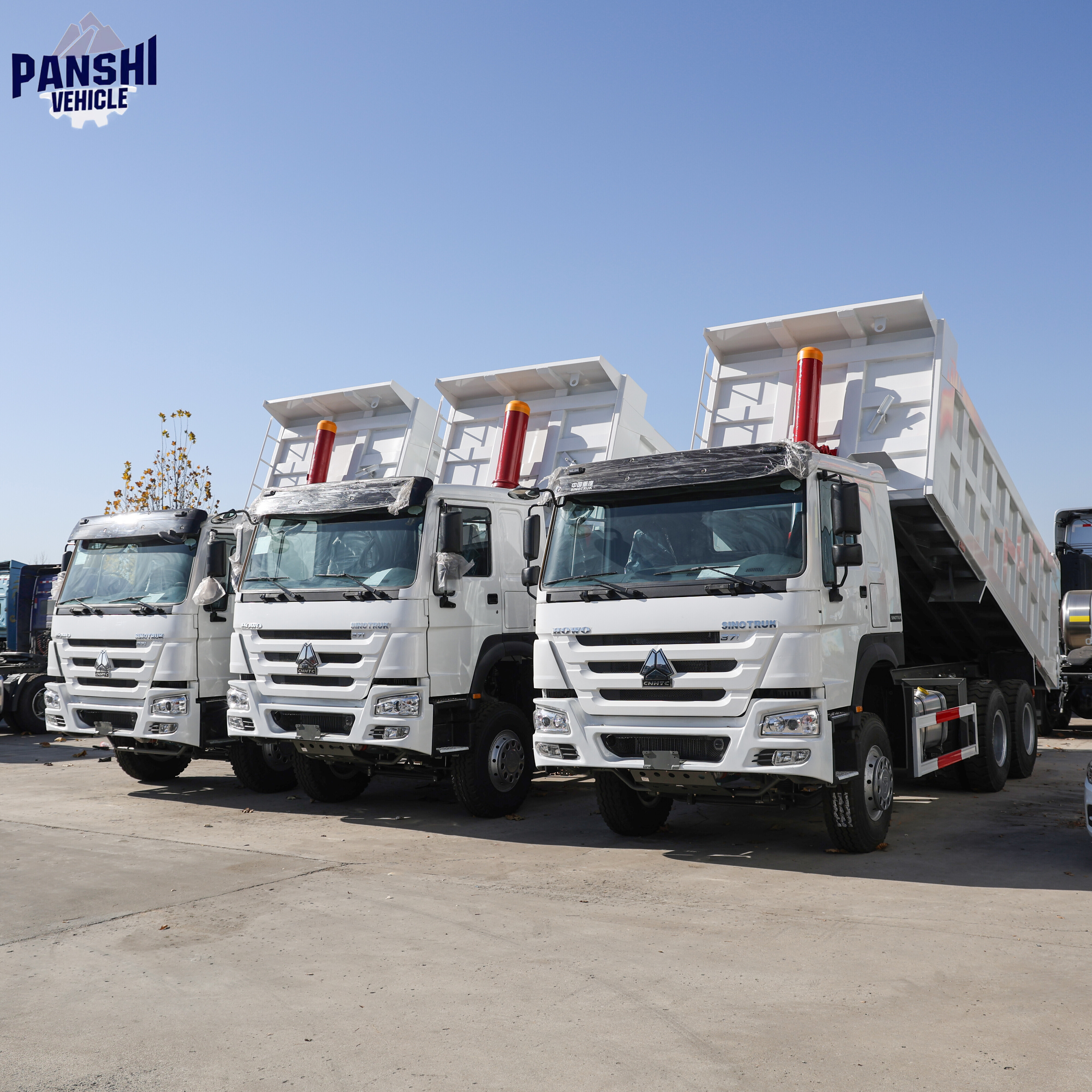 Sinotruk Howo 6x4/8x4 diesel trucks, 10-wheel and 12-wheel cargo box models, are for sale.