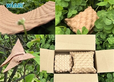 From Design To Recycling, Building A Green Circular Economy