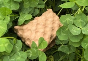 From Design To Recycling, Building A Green Circular Economy
