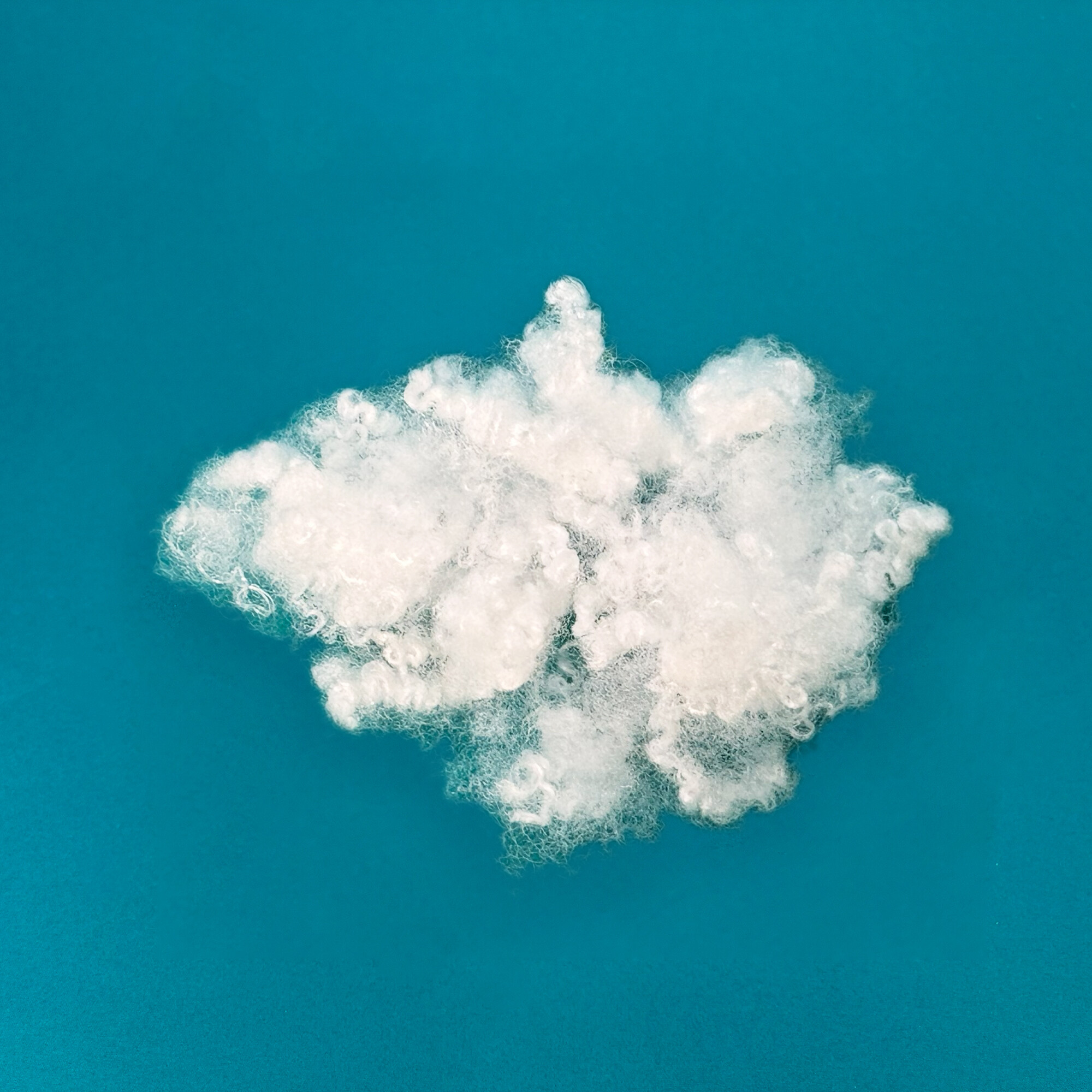 HCS 3d Hollow Conjugated Siliconized  7D-64mm Virgin  Polyester Fiber Filling Material