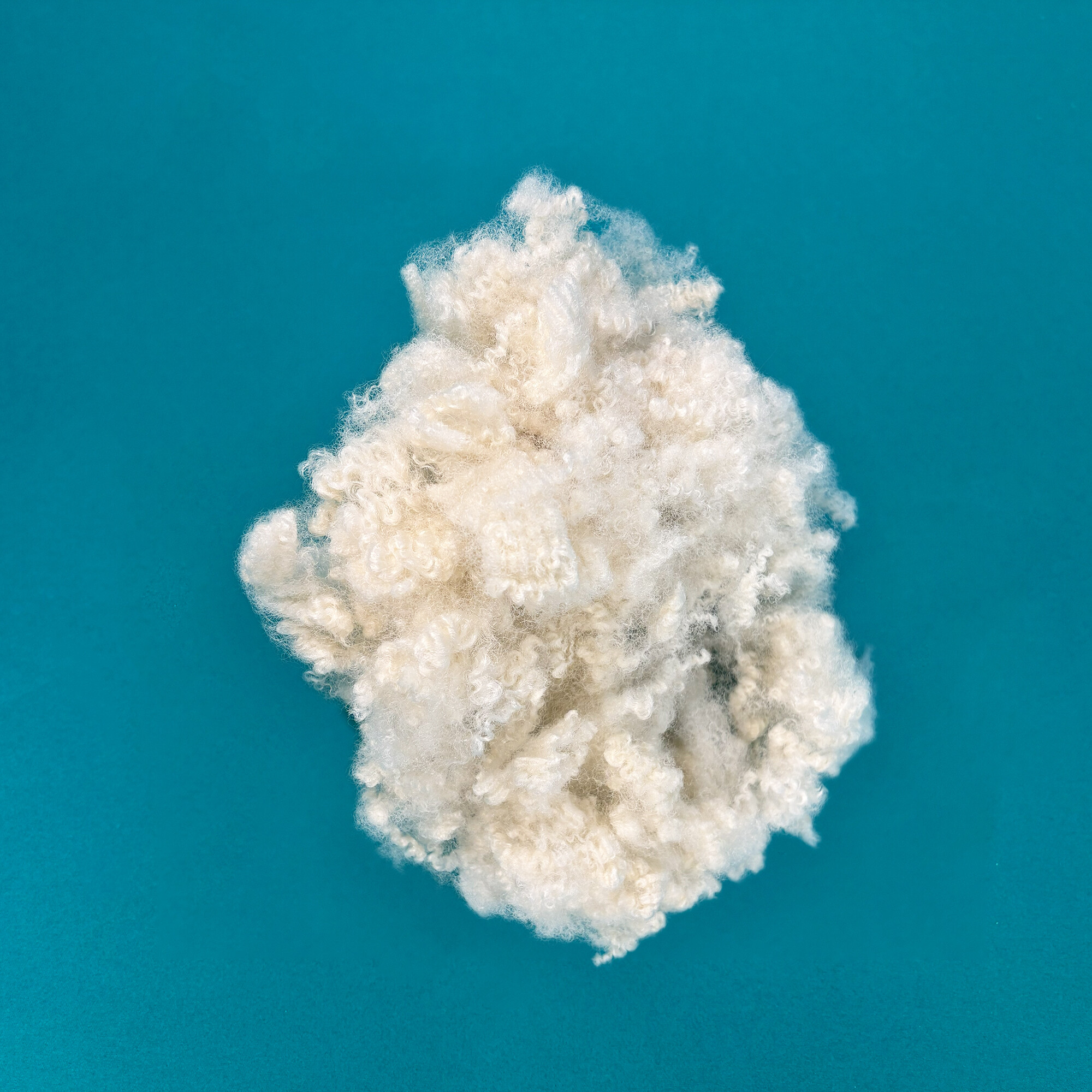 Wholesale Filling Material Regenerated Polyester Fiber 15D-64mm HC Staple Fiber