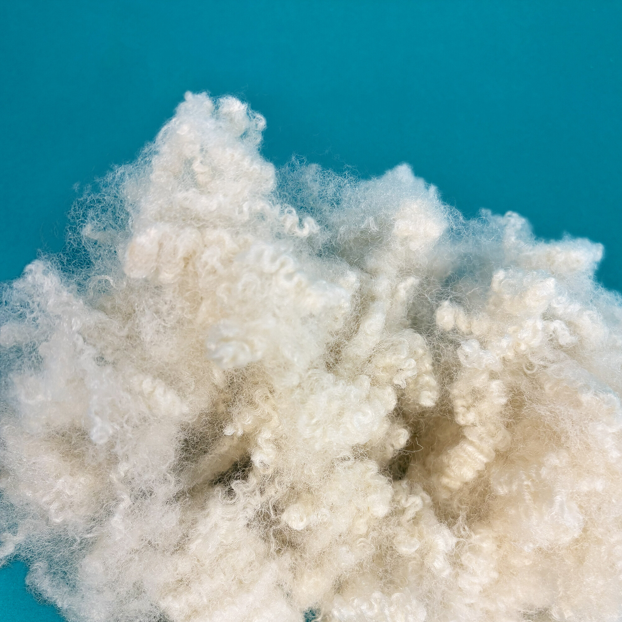 Wholesale Filling Material Regenerated Polyester Fiber 15D-64mm HC Staple Fiber