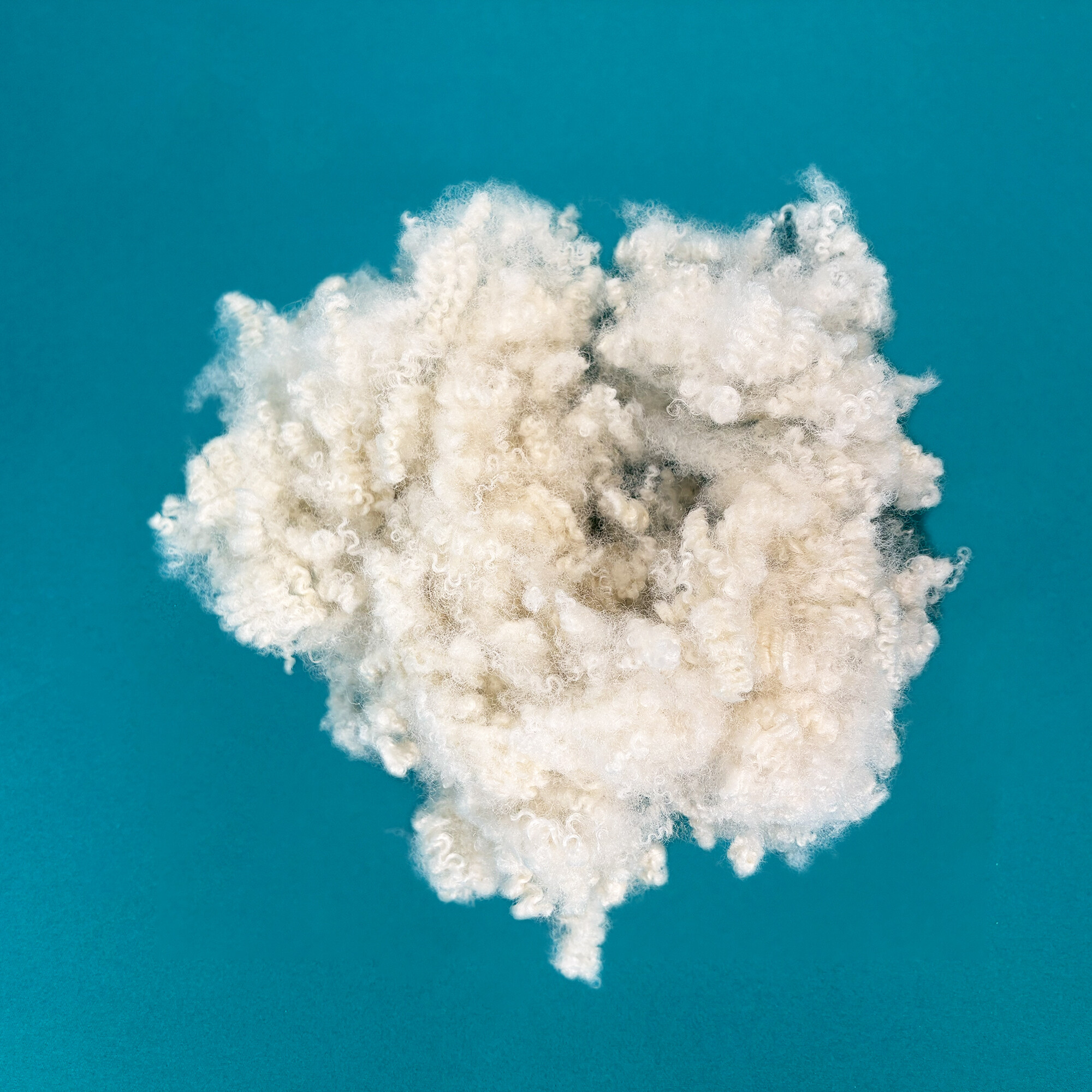 Wholesale Filling Material Regenerated Polyester Fiber 15D-64mm HC Staple Fiber