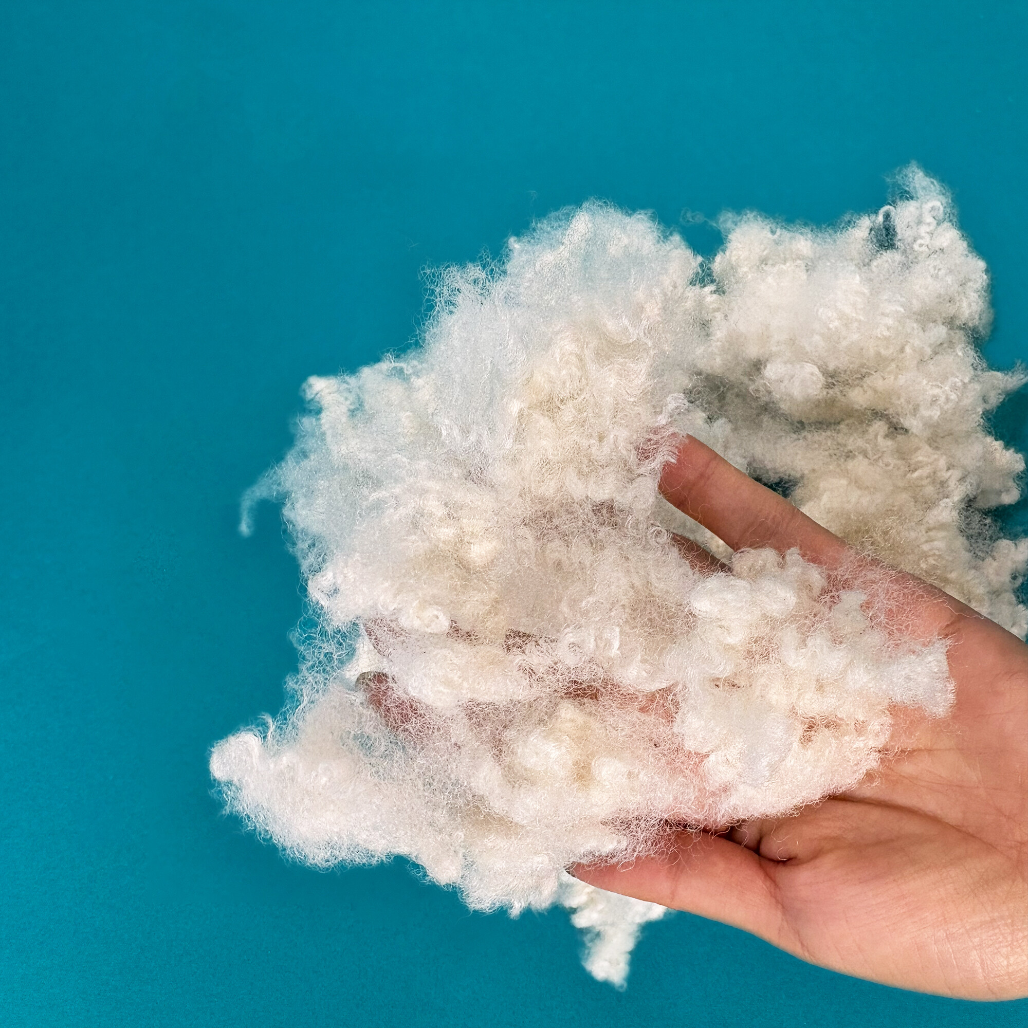 Wholesale Filling Material Regenerated Polyester Fiber 15D-64mm HC Staple Fiber