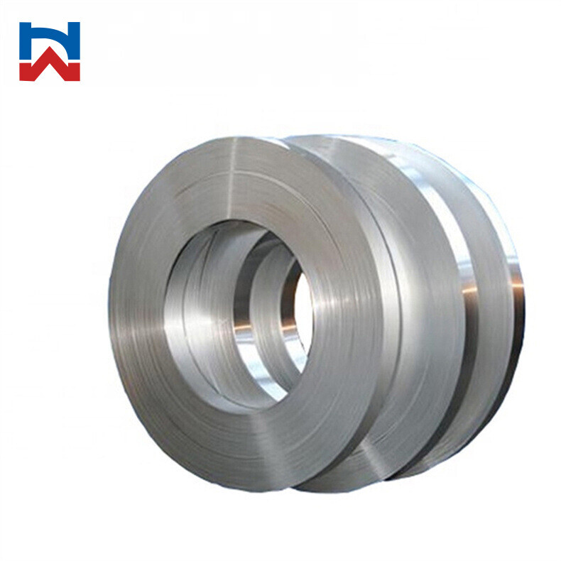 310 Stainless Strip