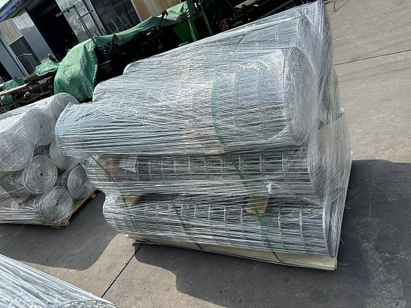 7fce2bac8f4378fdec5ac13b41d0cea