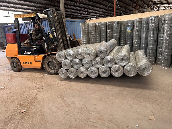 b786e2a1-fe07-4568-8e1d-ff6048ce20c0