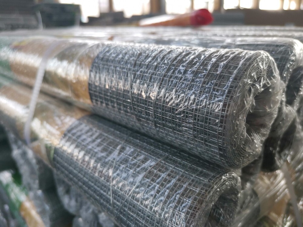 Hot-dipped Galvanized Welded Wire Mesh
