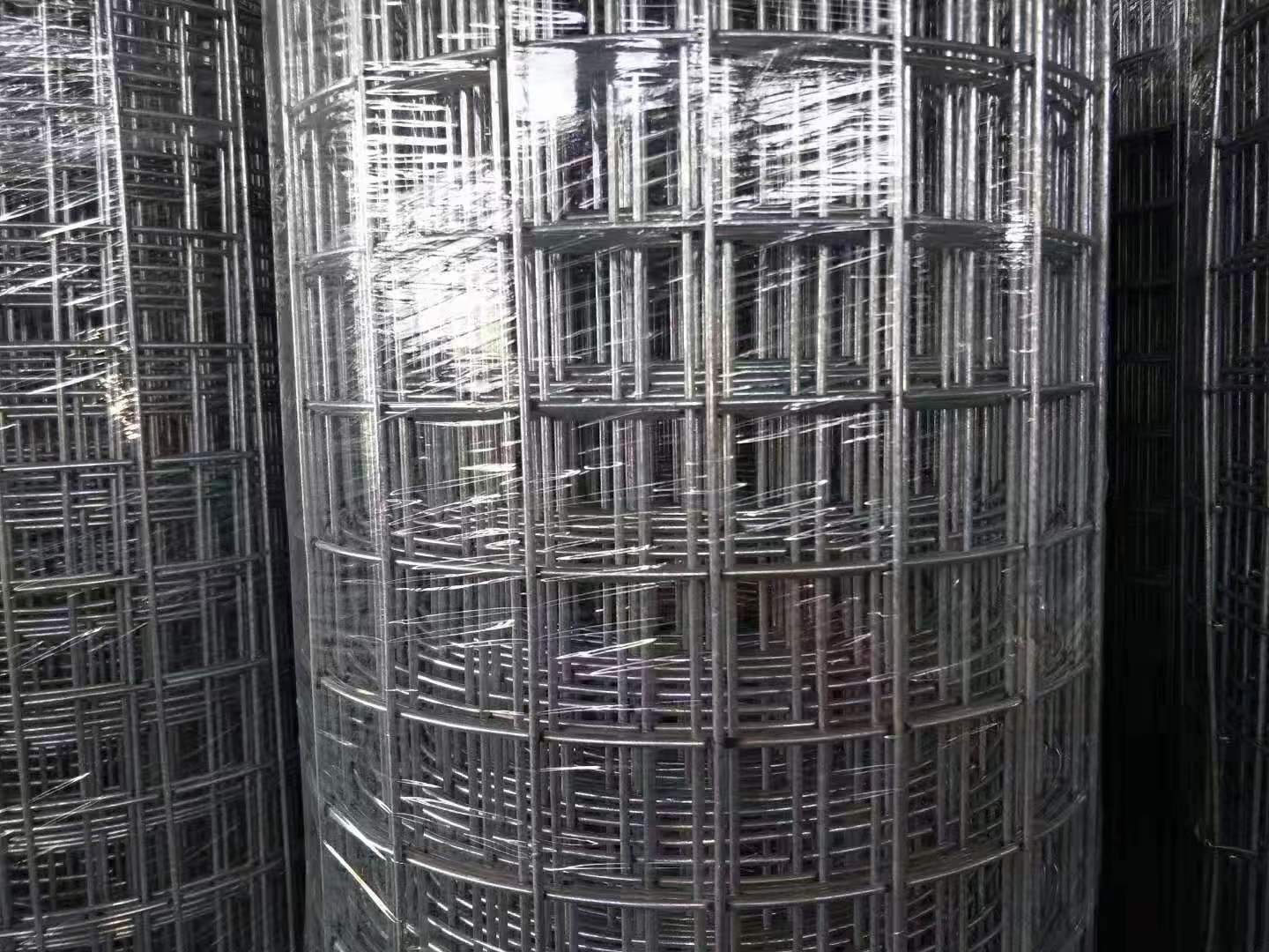 Hot-dipped Galvanized Welded Wire Mesh