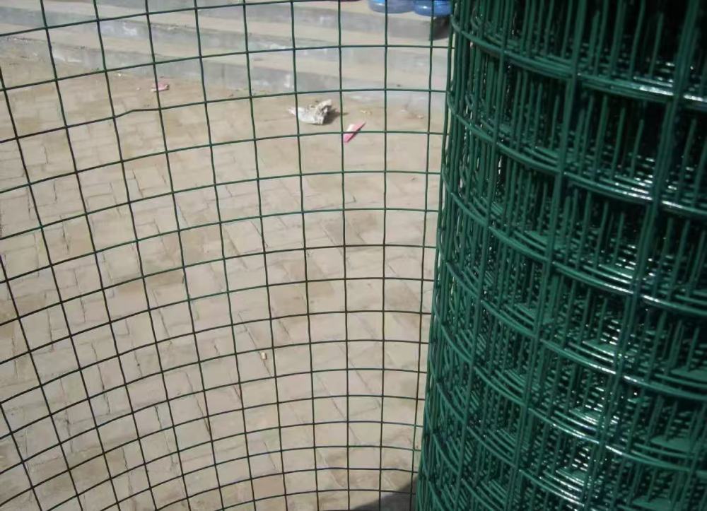 Hot-dipped Galvanized Welded Wire Mesh