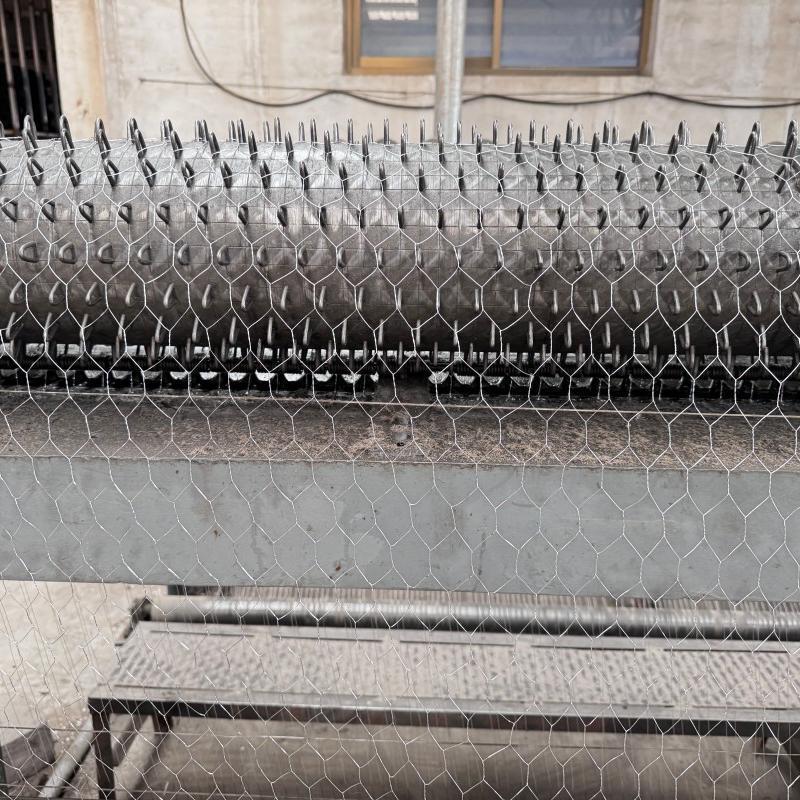 Hexagonal WIRE NETTING