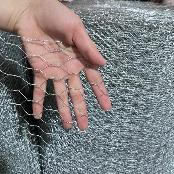Hexagonal WIRE NETTING