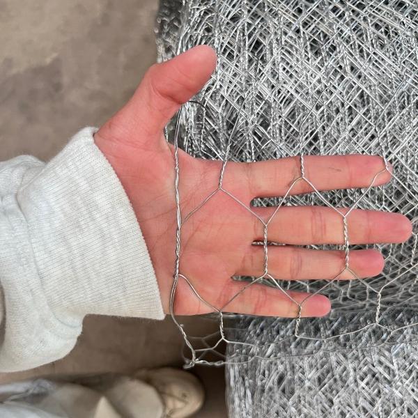 Hexagonal WIRE NETTING