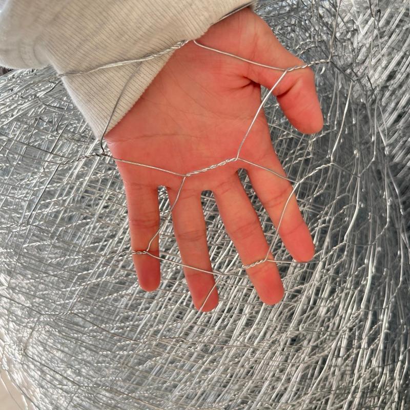 Hexagonal WIRE NETTING