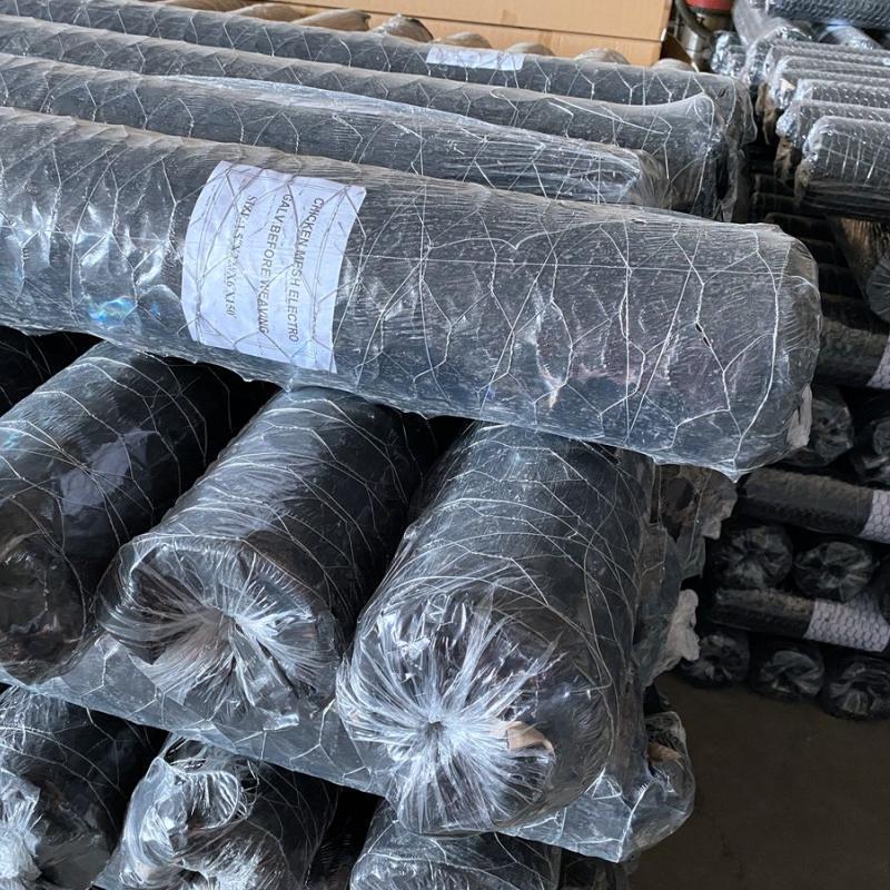 Hexagonal WIRE NETTING