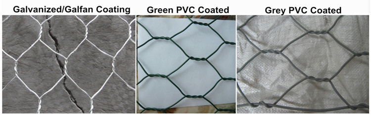 1769422009874353041023782912.jpg style=