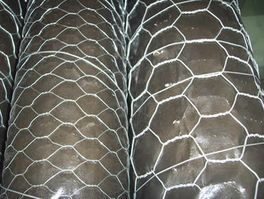 1769427759874377157252567040.jpg style=