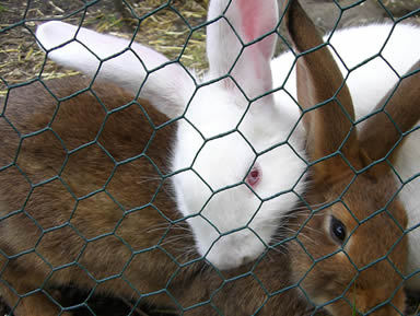 1769427759874377157948485632.jpg style=