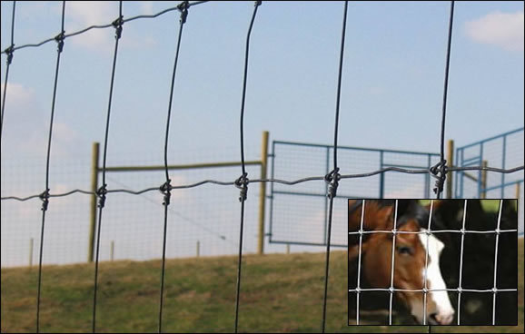 1769428243874379188805316608.jpg Fixed Knot Field Fence for Horse Farming