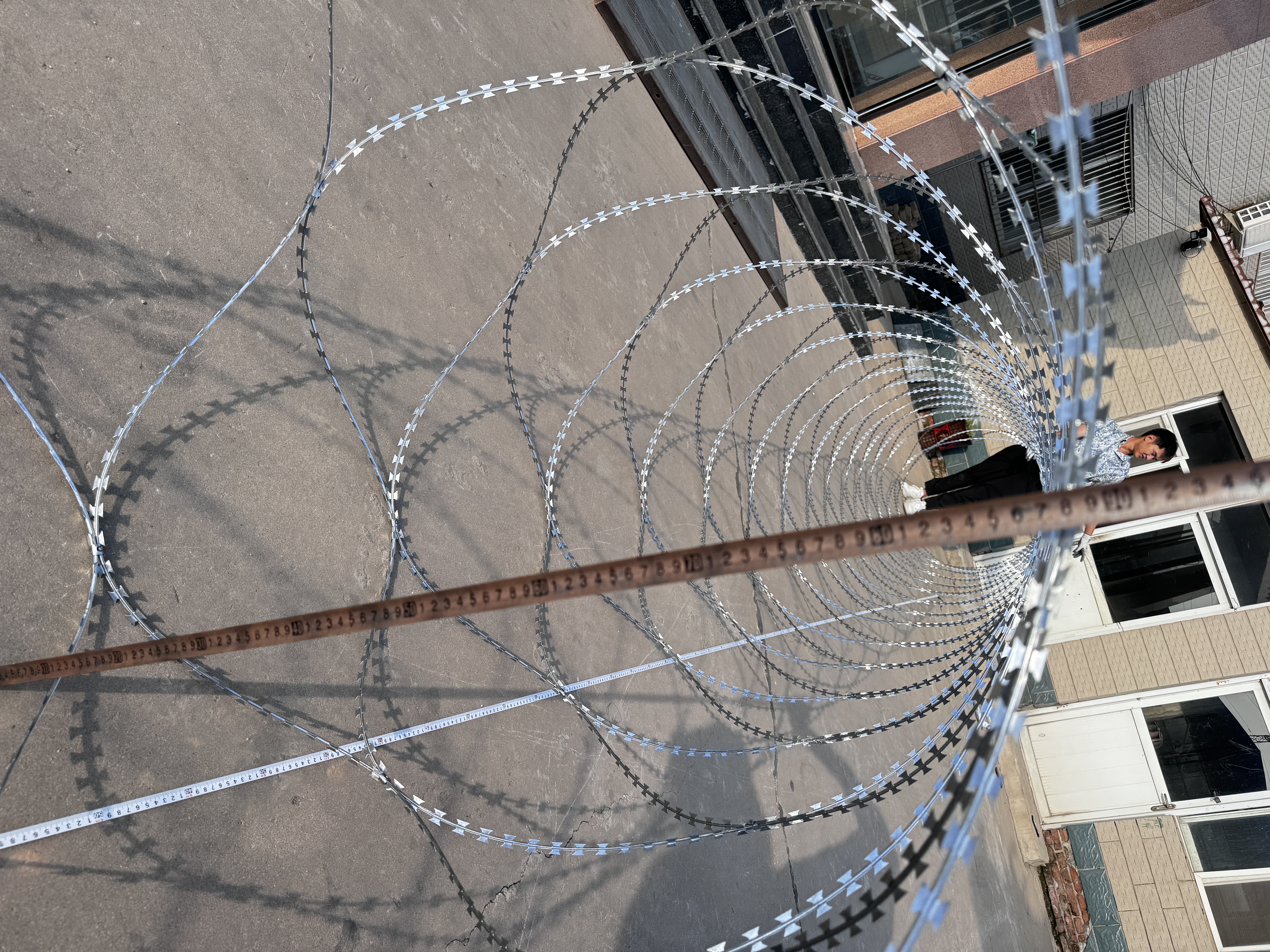 Snake-belly barbed wire galvanized steel or stainless steel