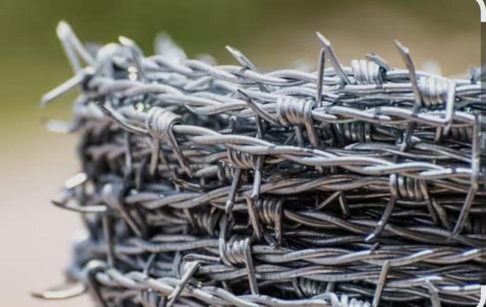 Galvanized Barbed wire