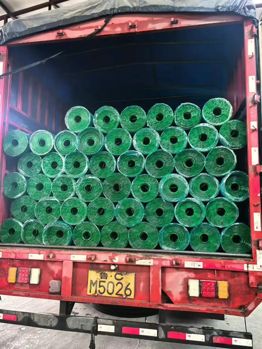 Galvanized Wire Mesh（PVC coated）