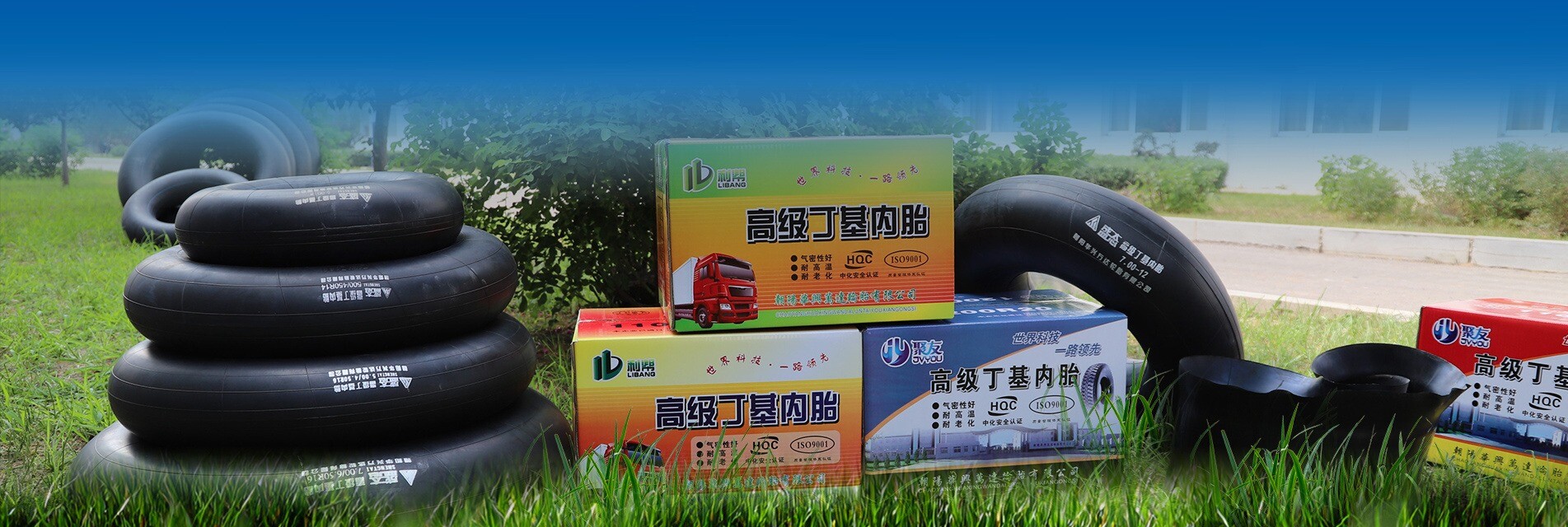 imgi_4_6173b5cb-4dbf-4997-adba-e4dc3bb564f1