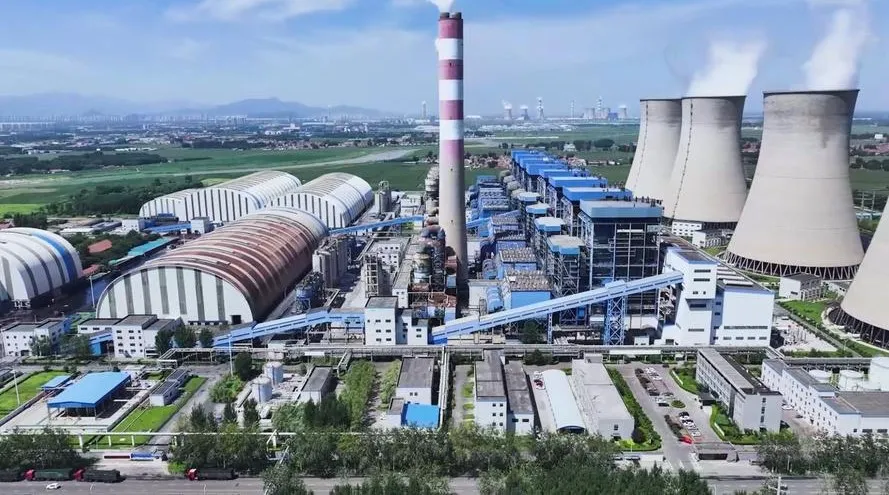 Shandong Weiqiao Aluminum & Electricity Group Project