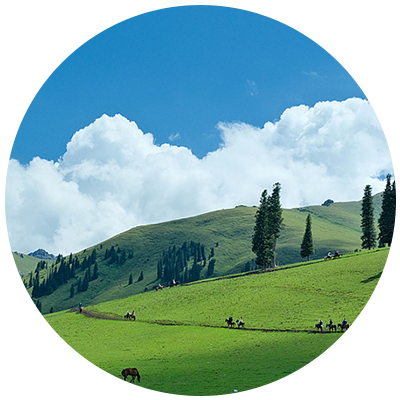 صورة رمز التقييم 2