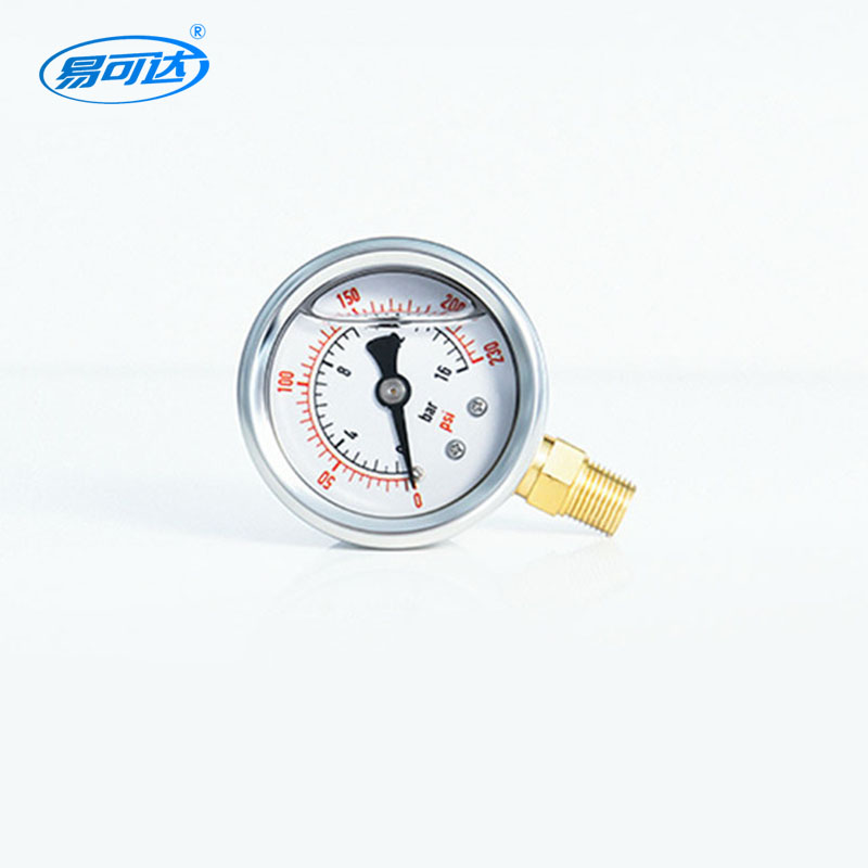 Pressure gauge