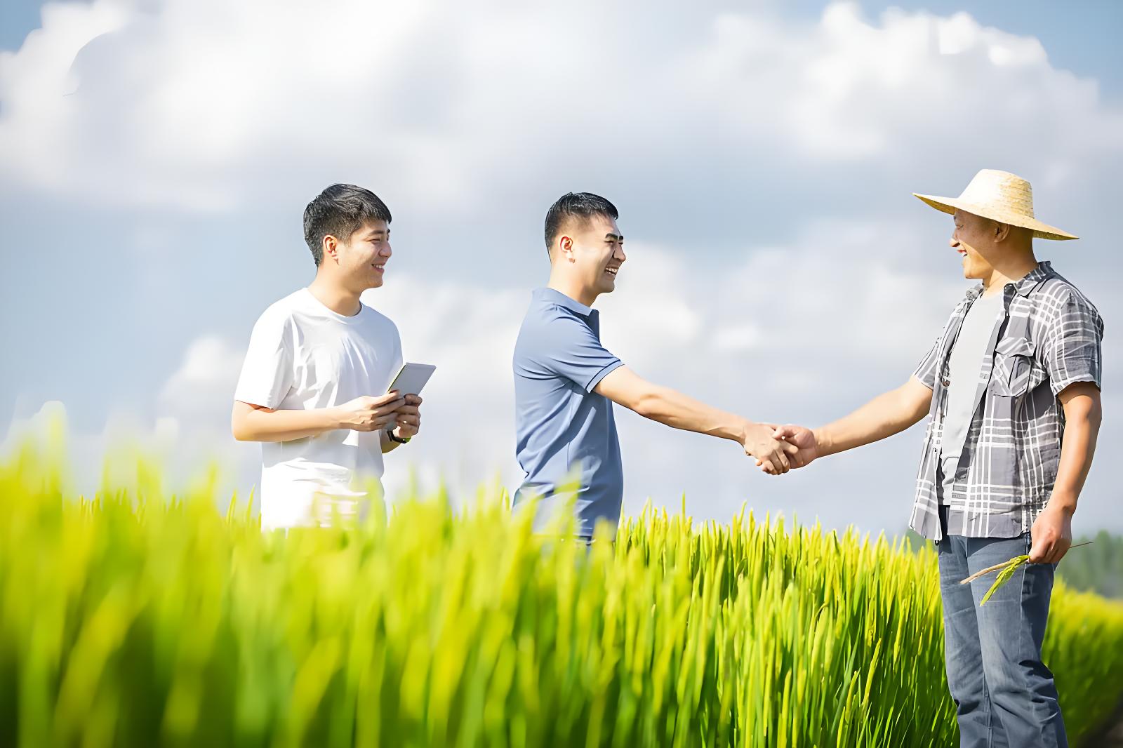 e8152fbce87c84a5f285b8113d19daaa