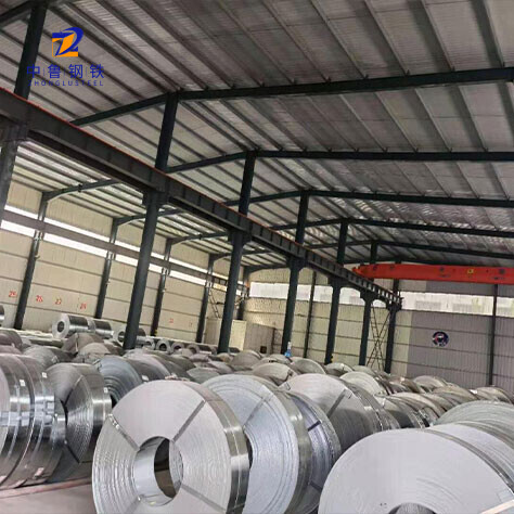 310 Stainless Strip