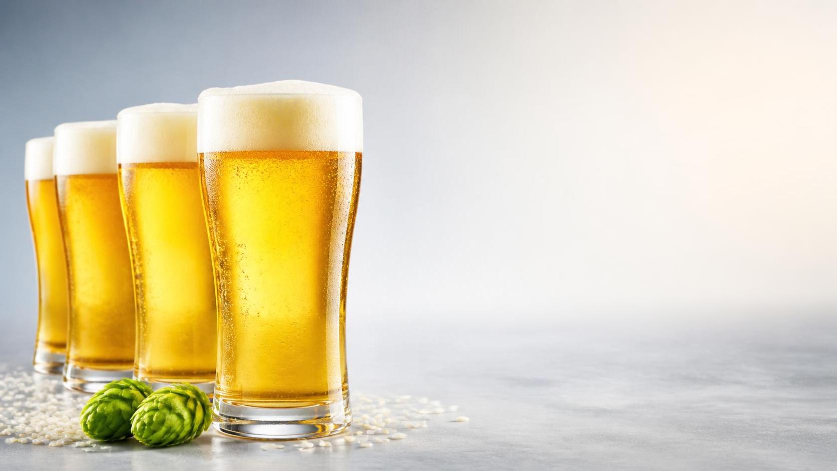 How China Beer Factory Brewmasters Balance Traditional Rice Adjuncts with Modern Hop Varieties for Export Appeal