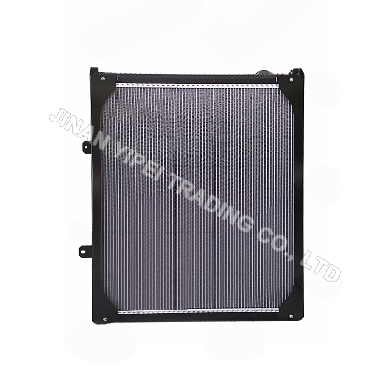 DZ95259532217 Radiateur Assemblage SHACMAN