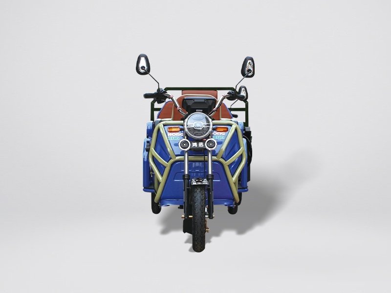 Motorized tricycle taxi