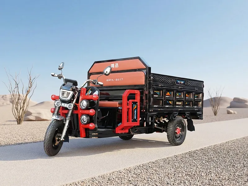Freight tricycle