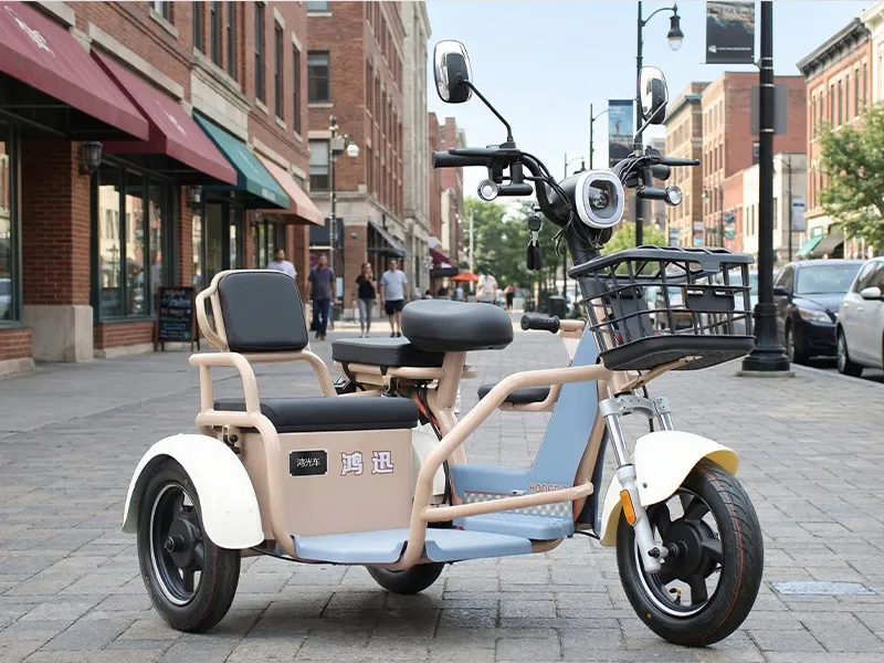 Electric Sidecar Motorcycle