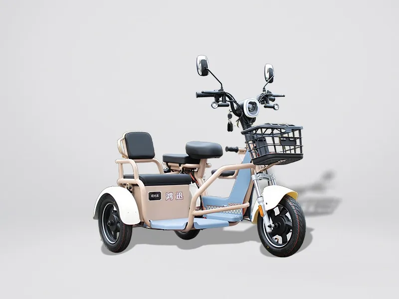 Electric Sidecar Motorcycle