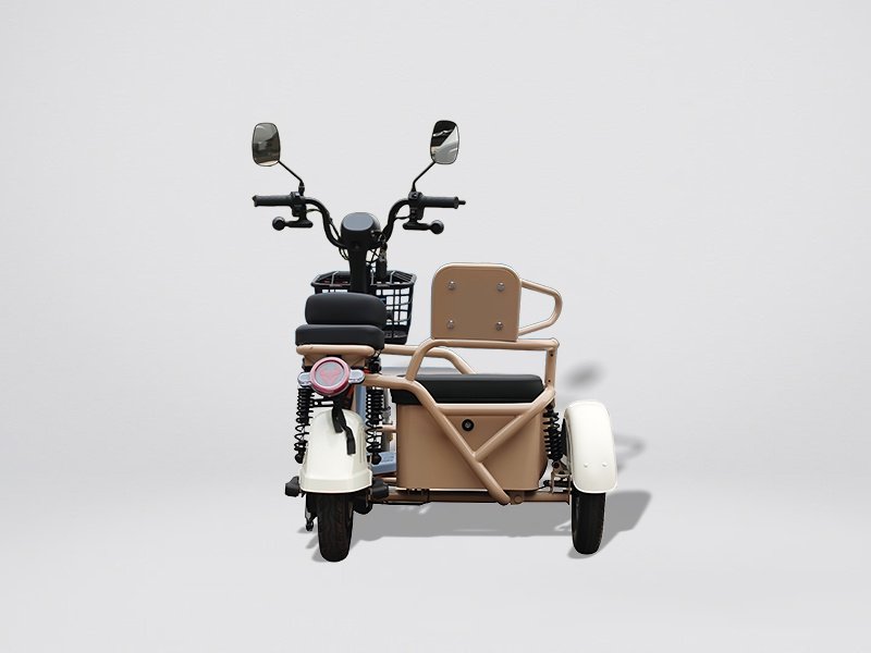 Electric Sidecar Motorcycle