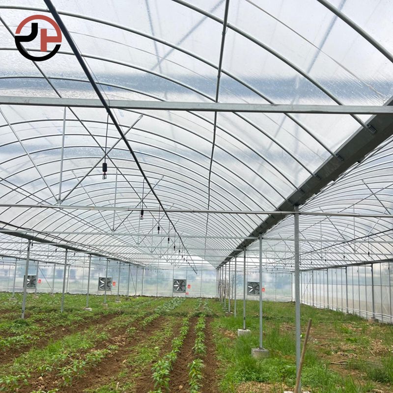 Film Multi-span Greenhouse