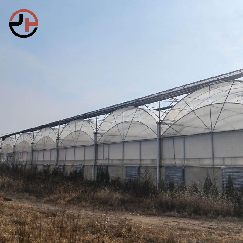 Film Multi-span Greenhouse