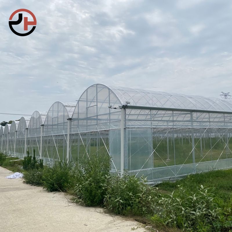 Film Multi-span Greenhouse Film Multi-span Greenhouse
