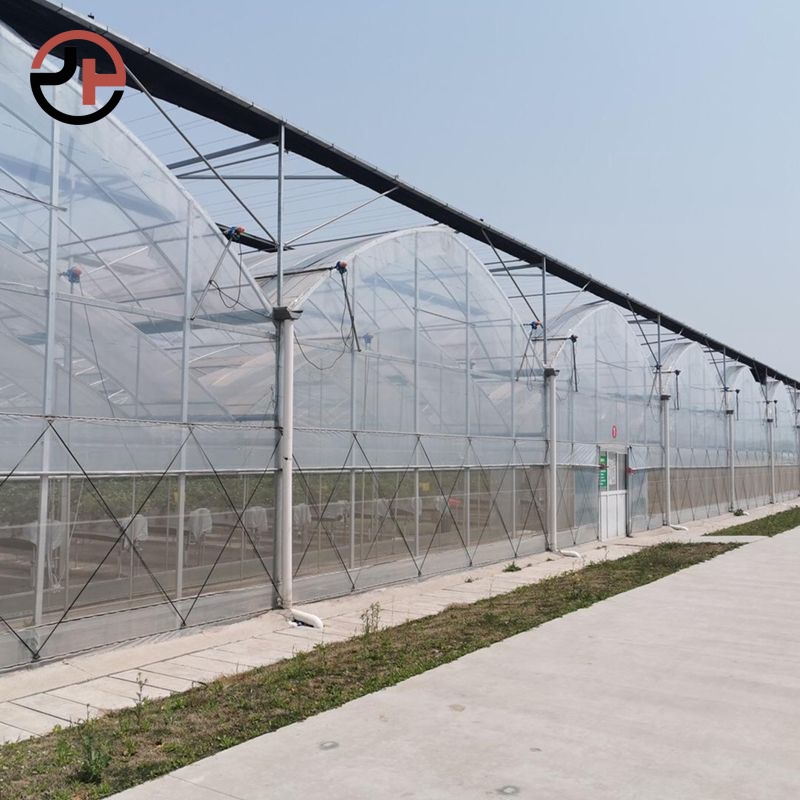 Film Multi-span Greenhouse Film Multi-span Greenhouse