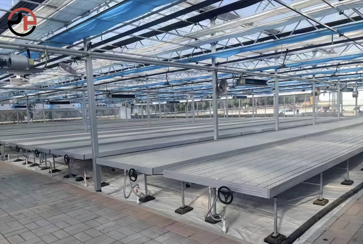 Multi-Span Greenhouse
