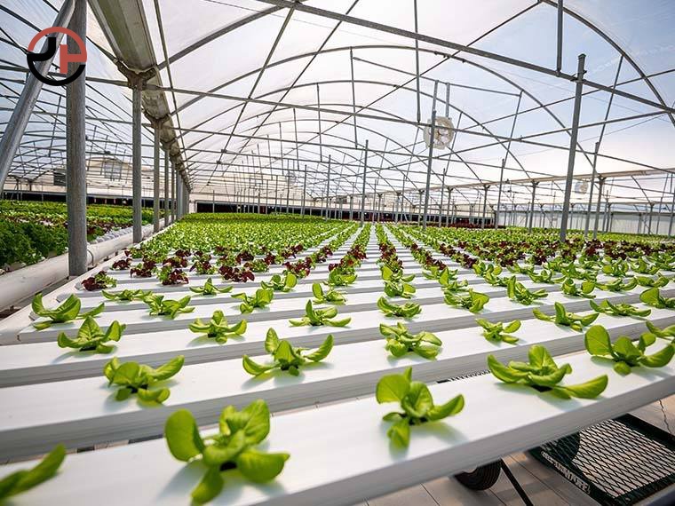 Multi-Span Greenhouse Multi-Span Greenhouse
